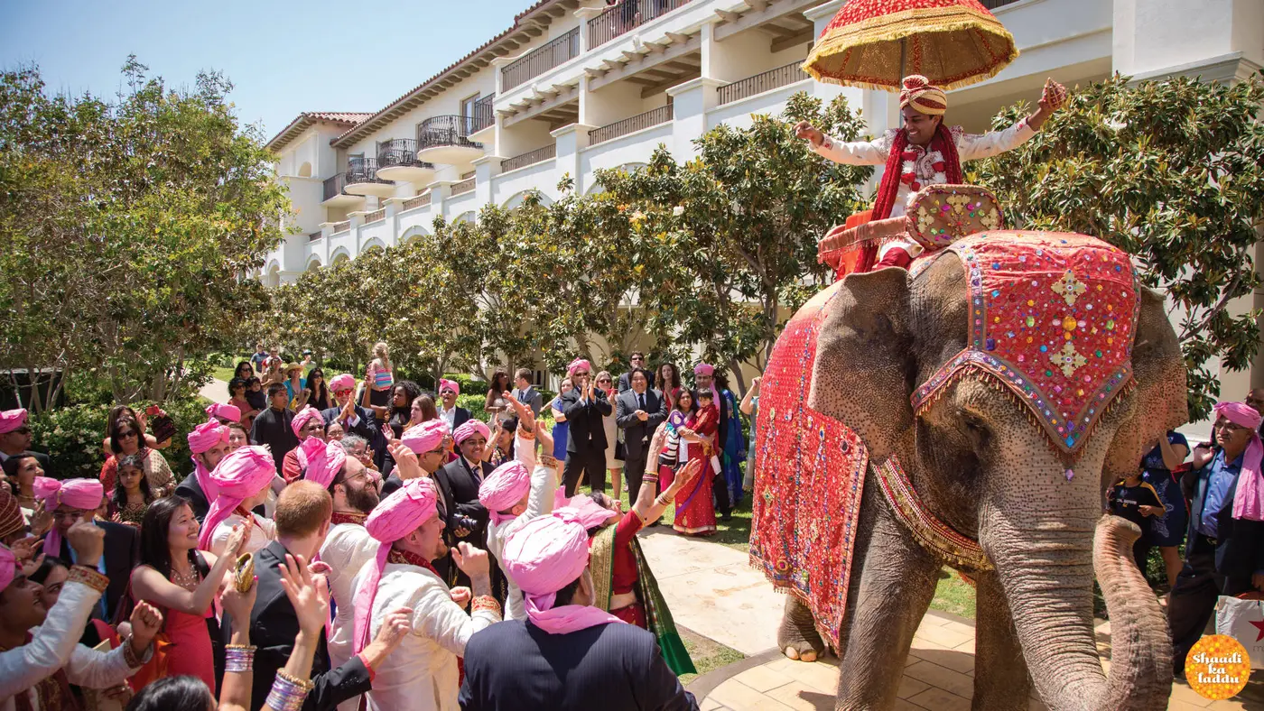 Indian wedding baarat