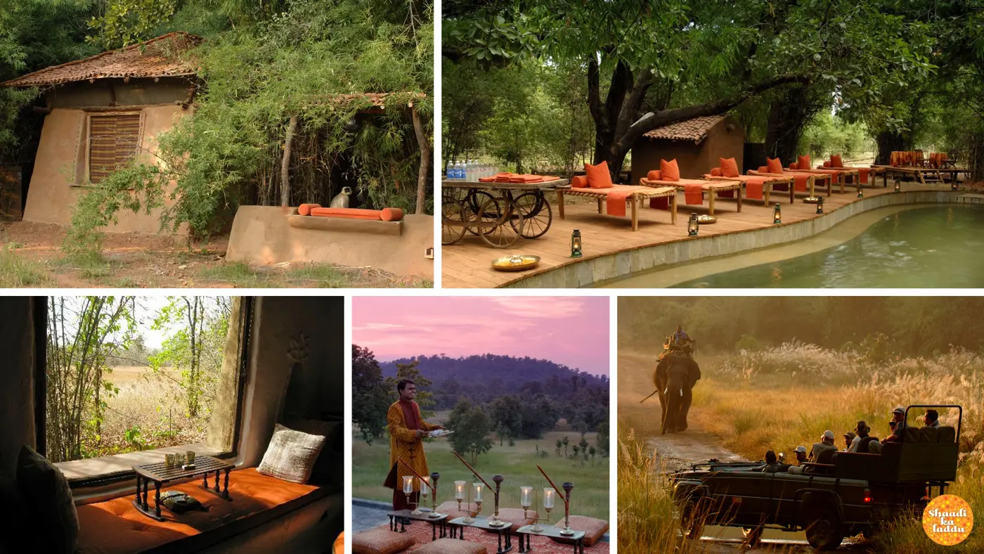 Bandhavgarh National Park