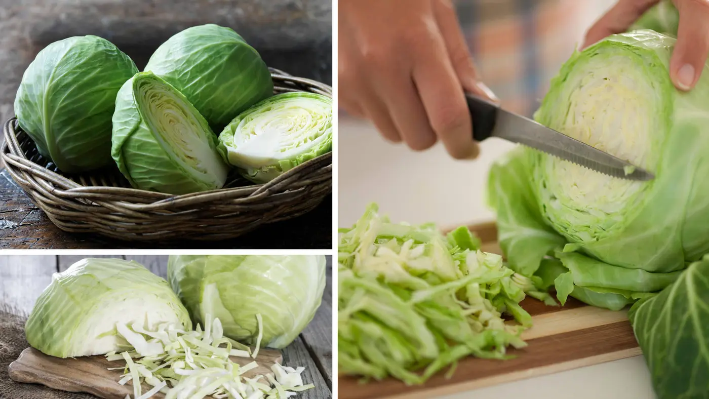 Cabbage