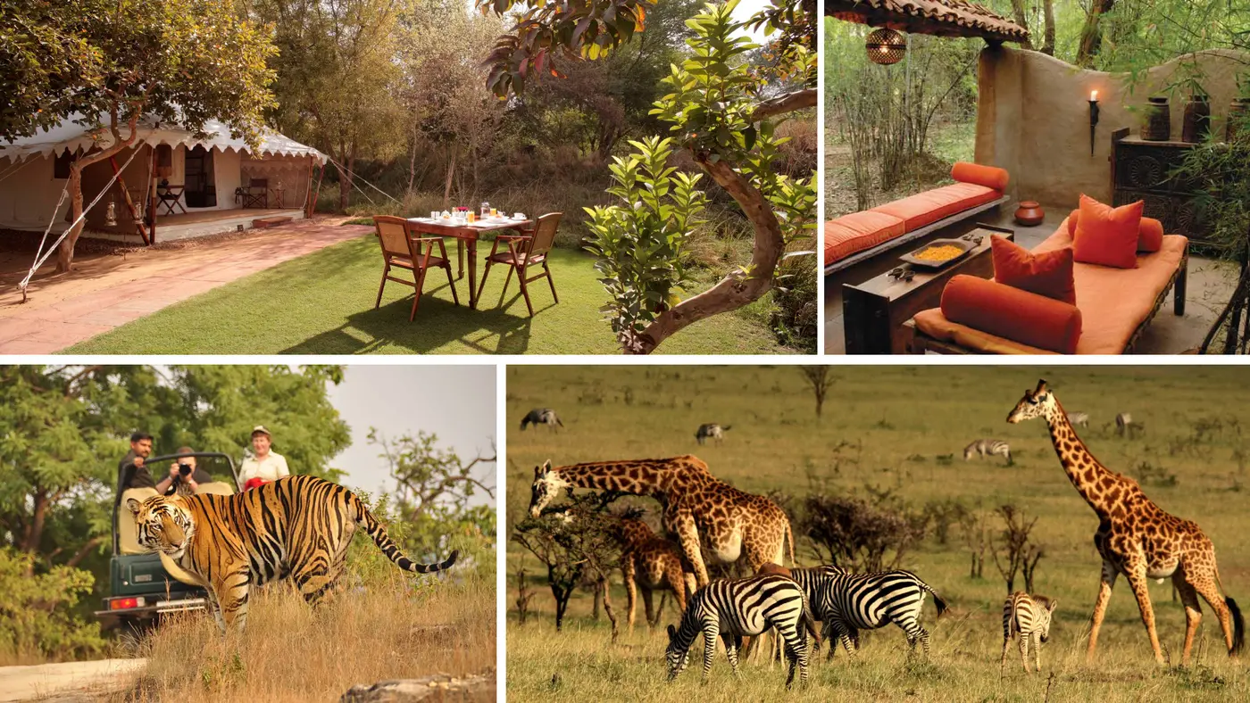Safaris for Two