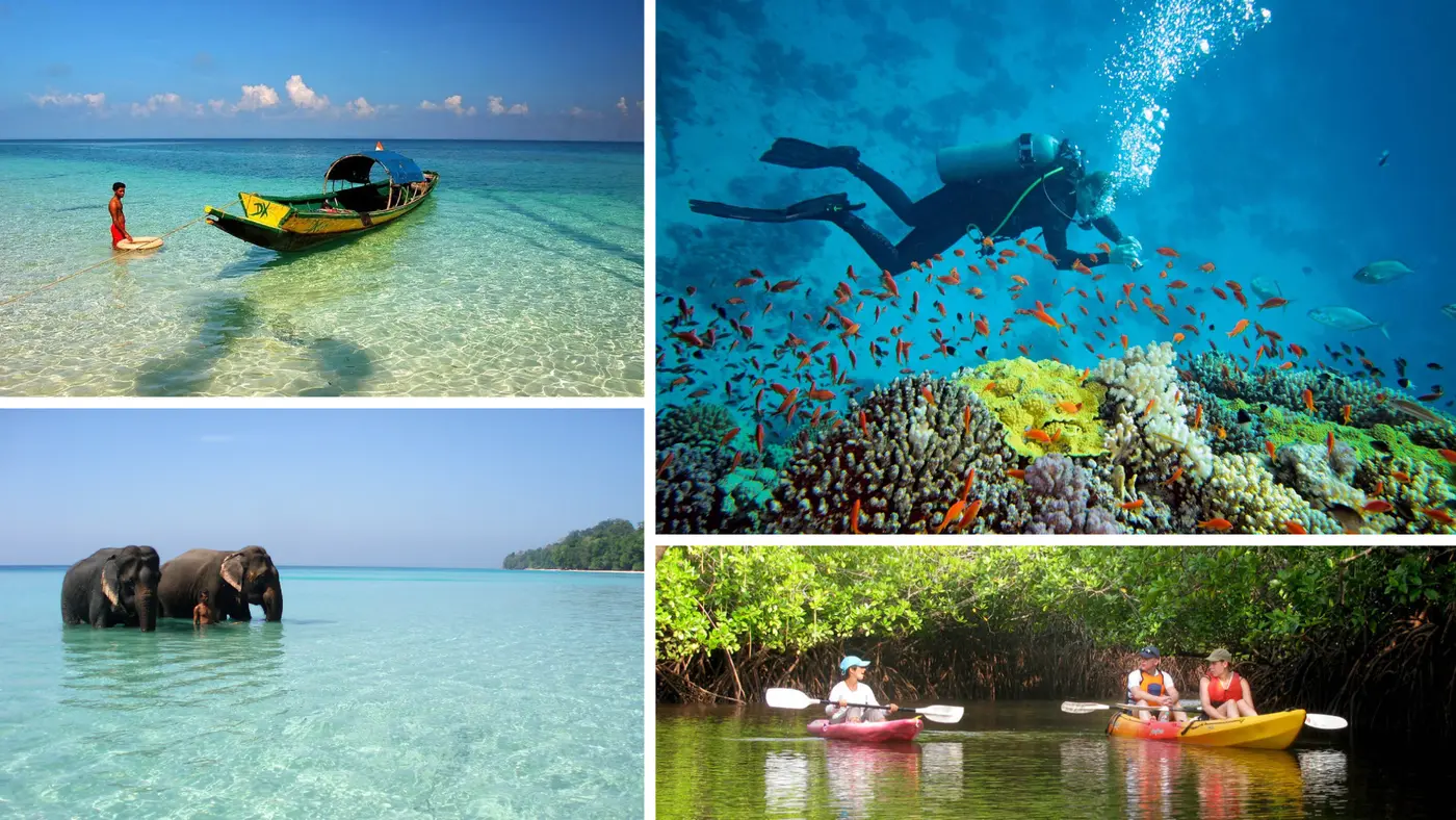 Scuba Diving in the Andamans
