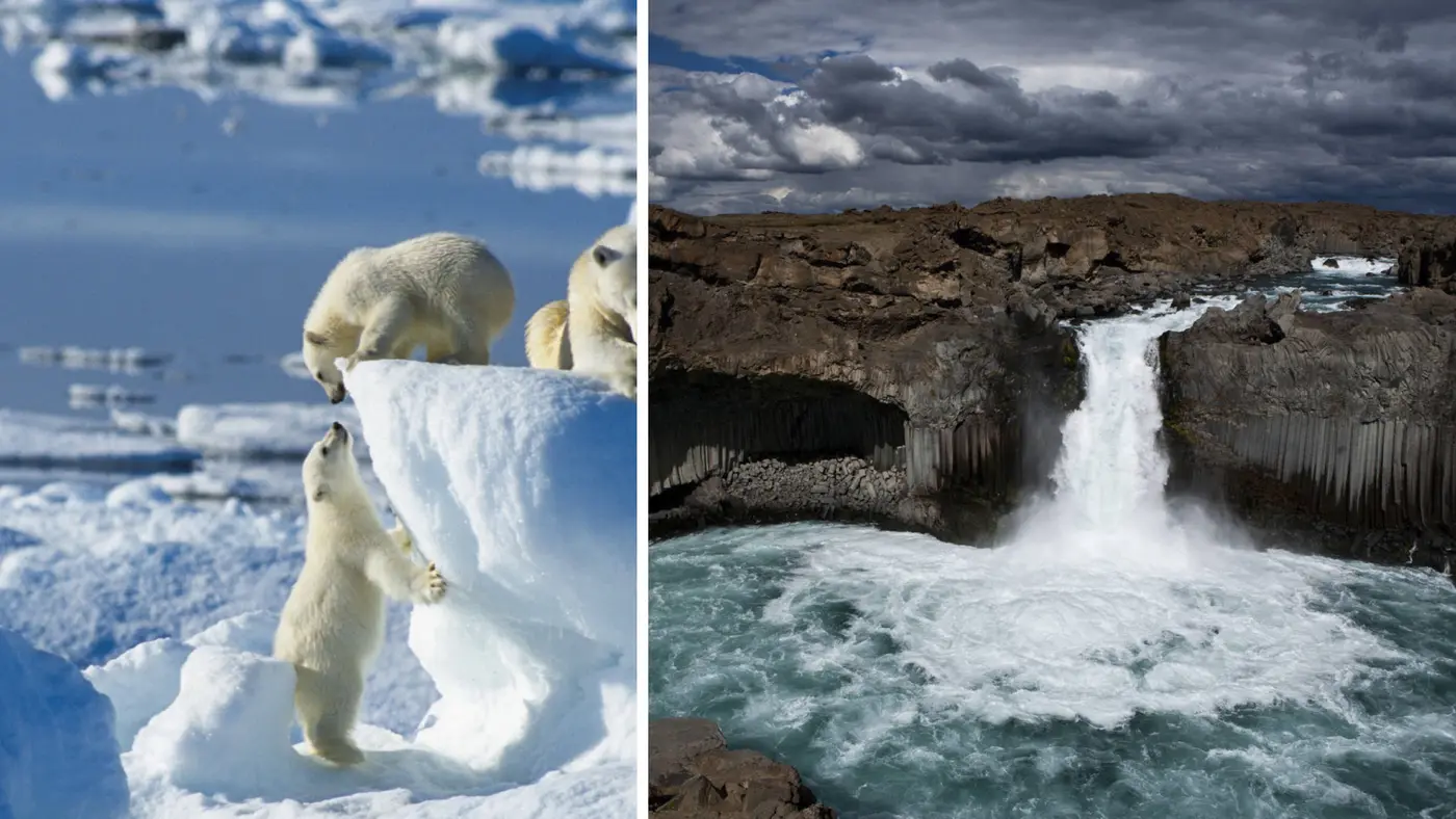 Arctic Adventures!